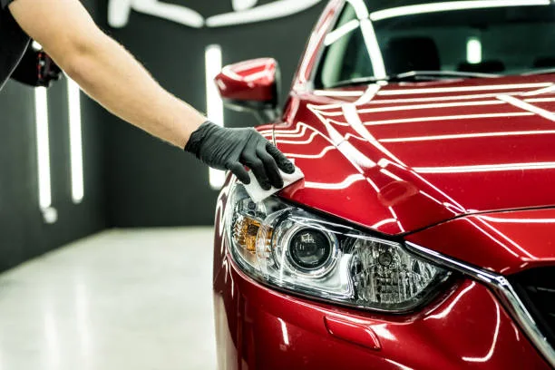 a person polishing a car